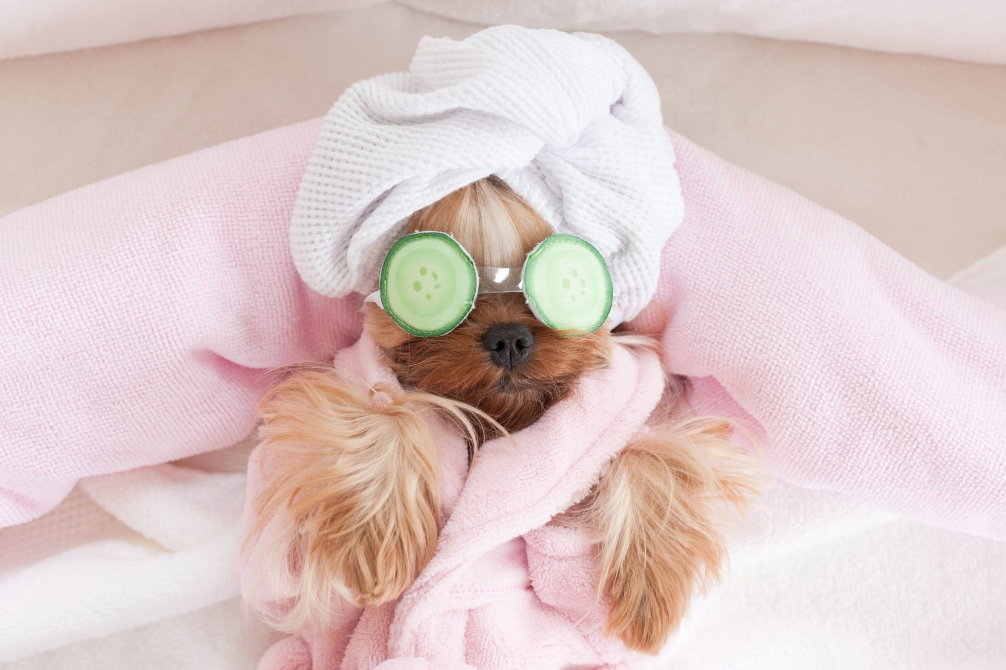 iStock-1297804383-2000x1333